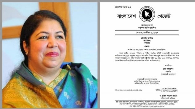 স্পিকার পদ থেকে ড. শিরীন শারমিন চৌধুরীর পদত্যাগের চিঠি গ্রহণ করেছেন রাষ্ট্রপতি 